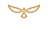 Copper Hawk
